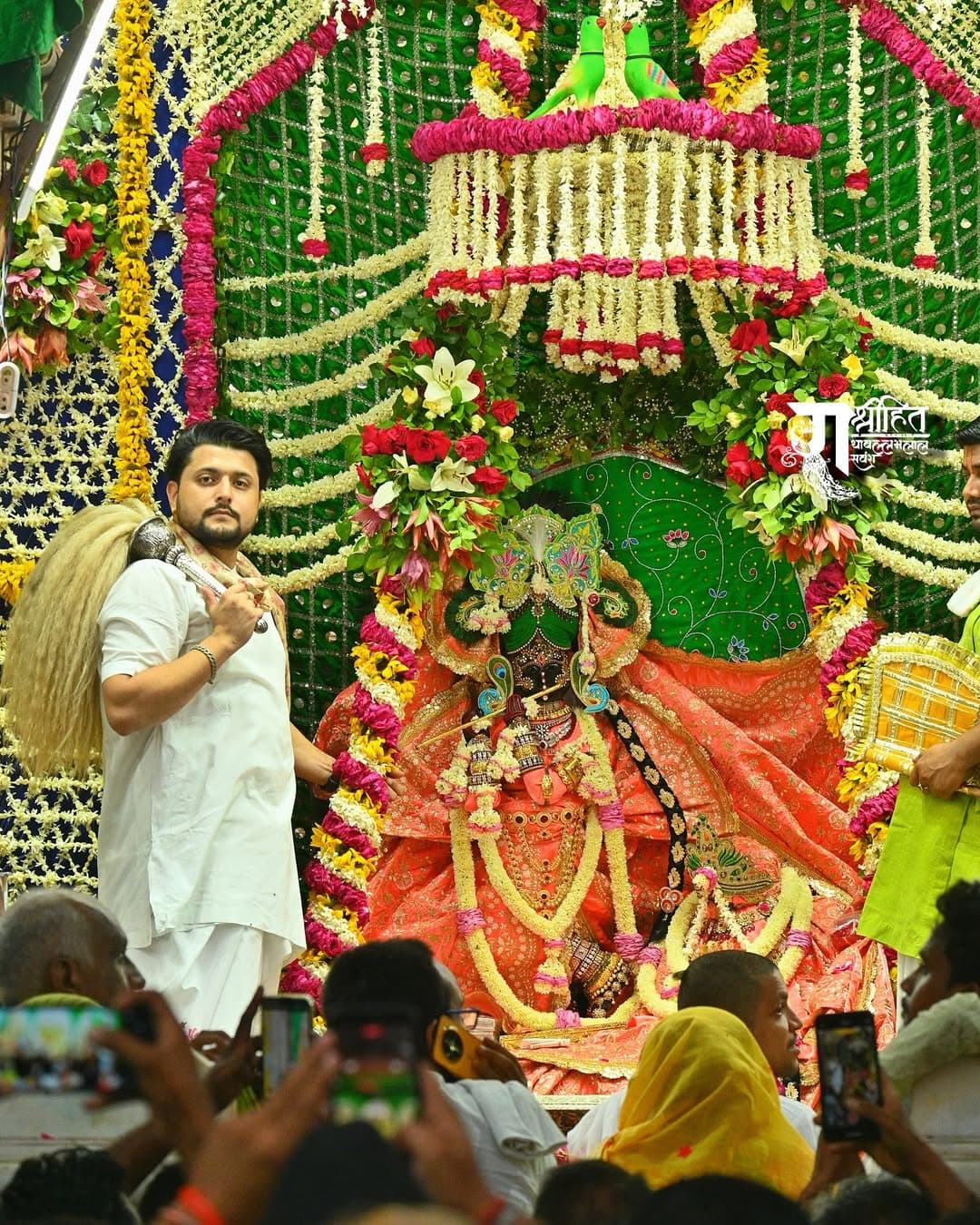 झूलन उत्सव