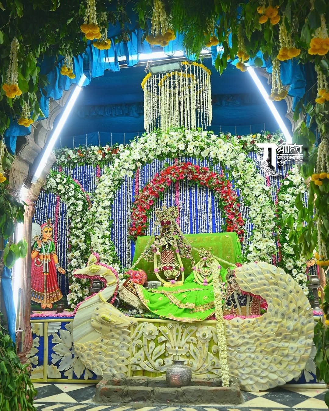 निर्जला एकादशी नौका विहार